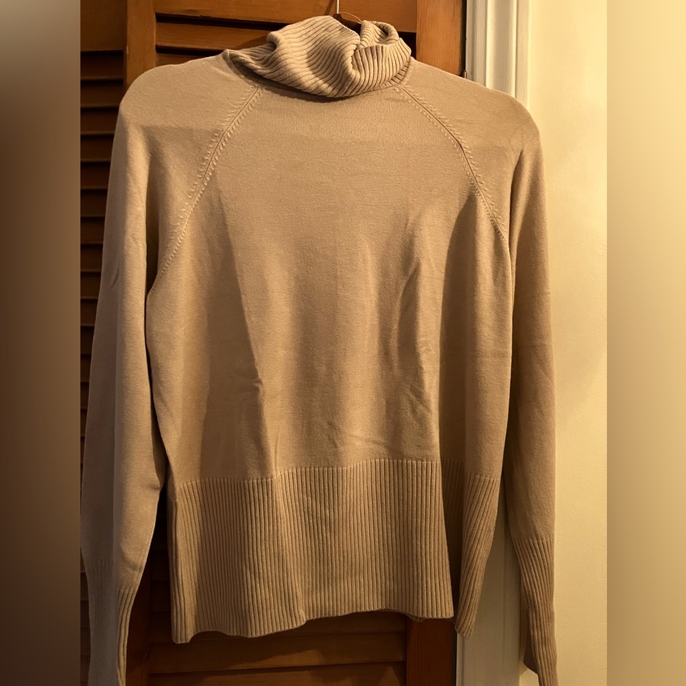 NWT BEAUTIFUL  Apostrophe Brand Rayon/Nylon Silky Turtleneck Size XL (18-20)